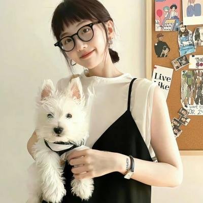 完美独裁